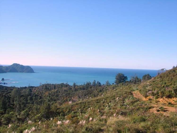 31 Pumpkin Hill Road Pumpkin Hill_13