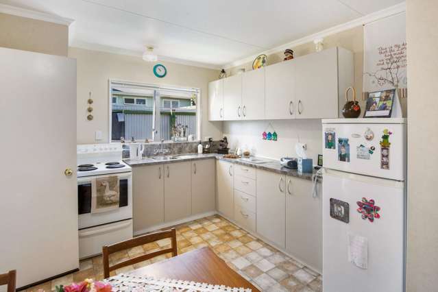 60e Winchester Street Levin_4