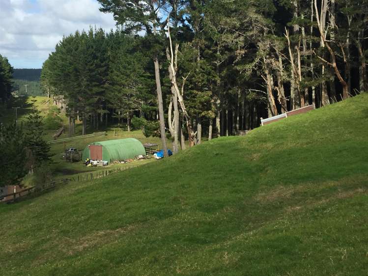 3944 Pouto Road Pouto_19