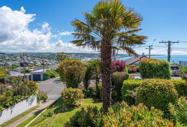 19 Tamar Street Oamaru_1