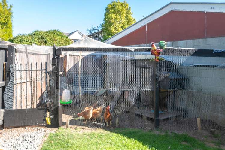 18 Lowry Avenue Redwood_21