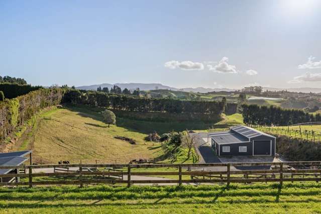 374 Youngson Road Whakamarama_1