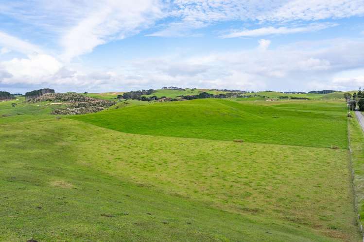 Lots 2, 3 and 4 Mahuta Road Dargaville_15