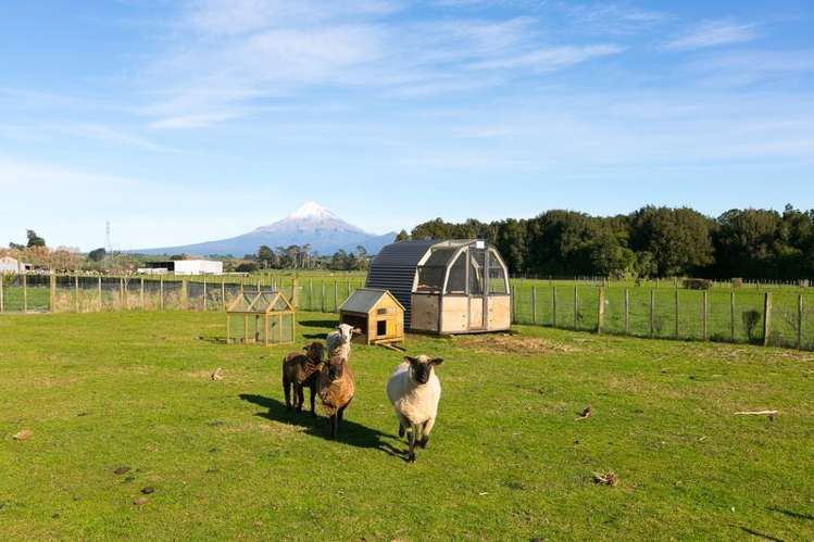 70 Lower King Road Tarurutangi_50