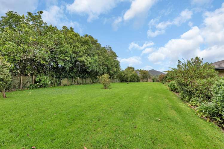 431 Apotu Road Kauri_29