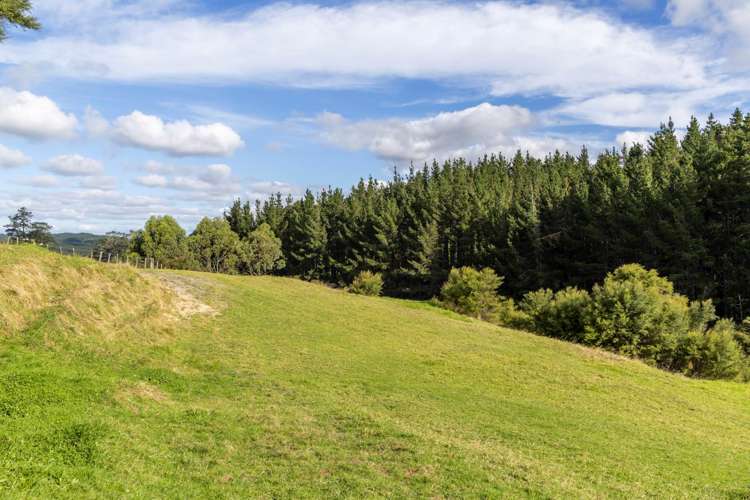 105 Zanders Road Helensville_41