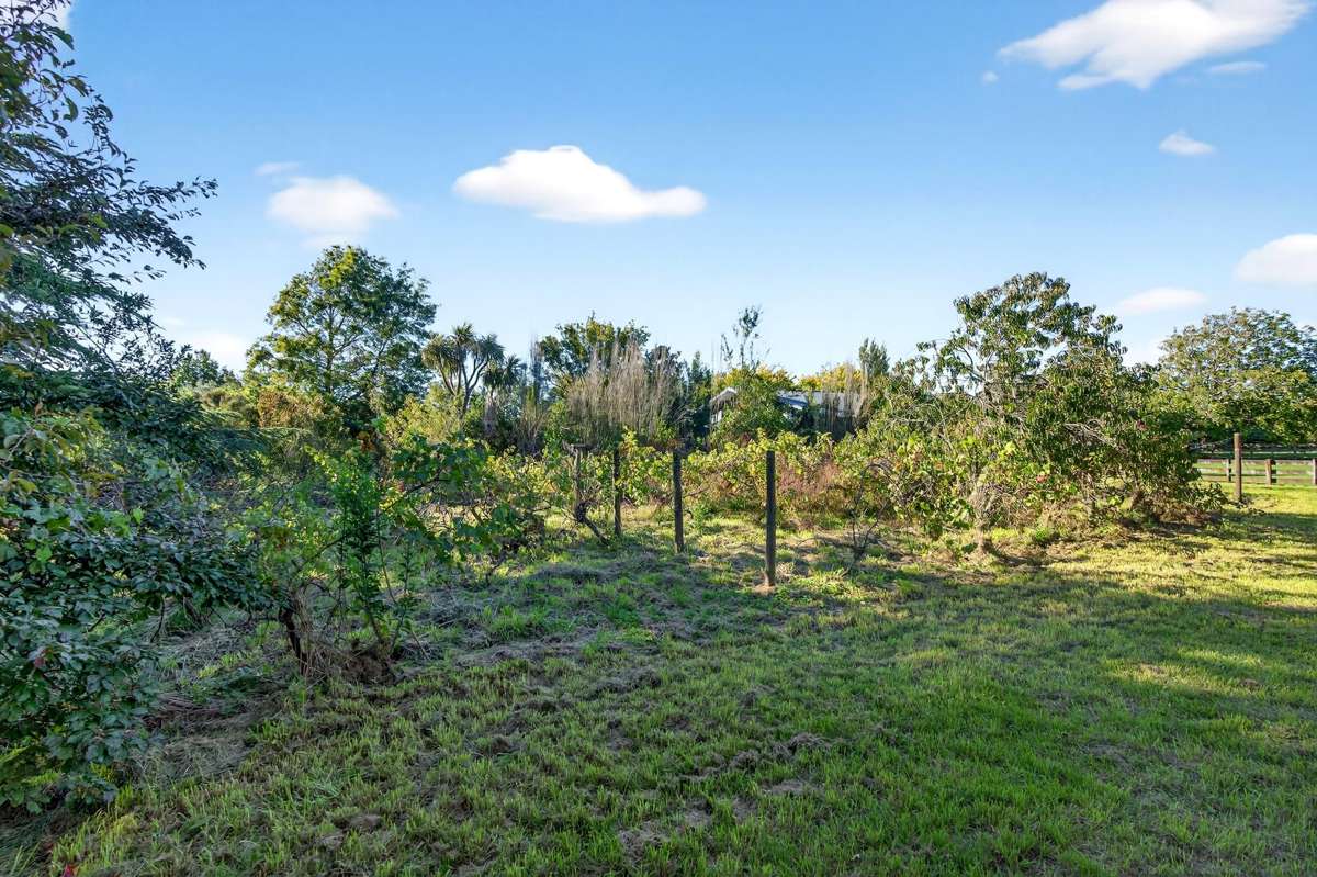 15a & 15b French Street_4