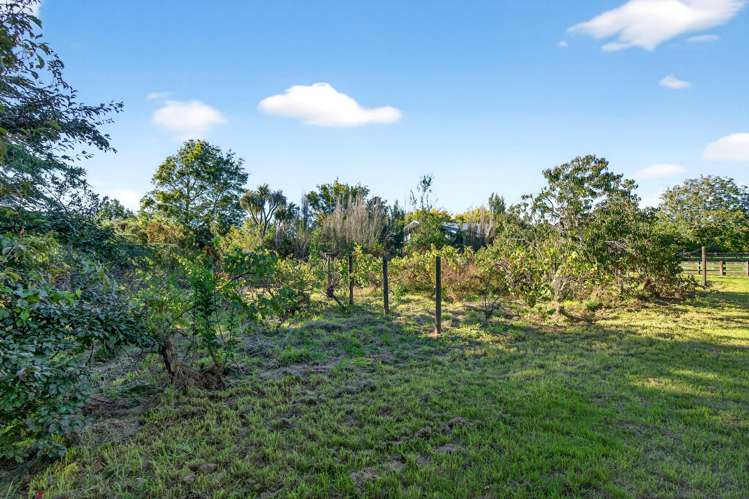 15a & 15b French Street Martinborough_8