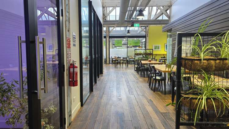 4/2 Bridge Street Ahuriri_10