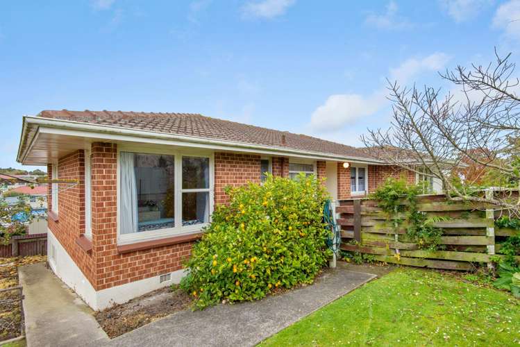 21 Stuart Street Holmes Hill_18