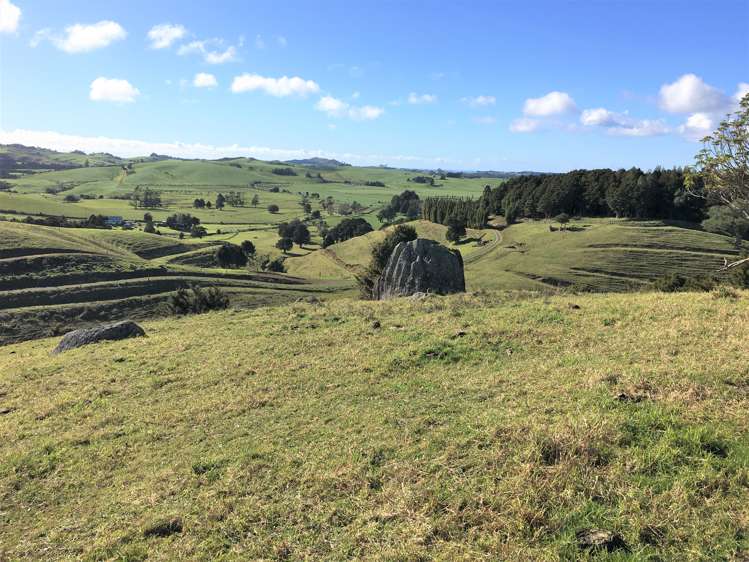 539 Martin Road Kaeo_11