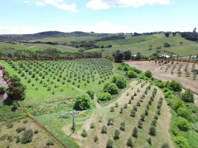 22 Totara Road Onetangi_4