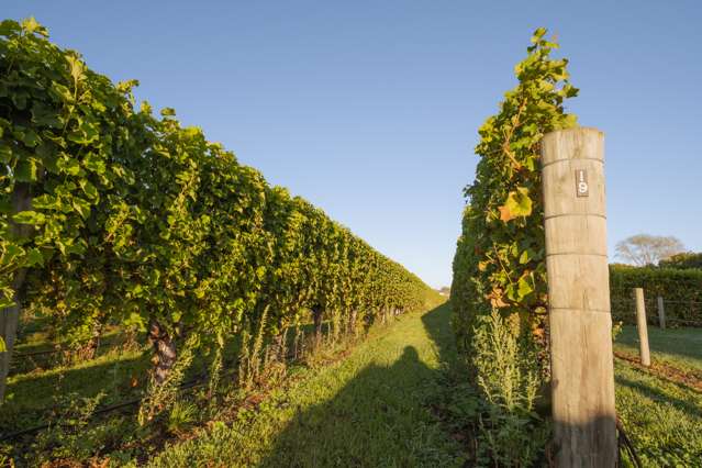 15 Alma Street North Renwick_2