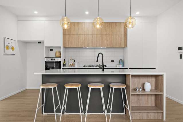 Elegant Newly Built Home in Pukekohe