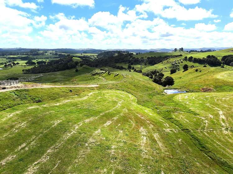 497 Opanake Road Dargaville_11