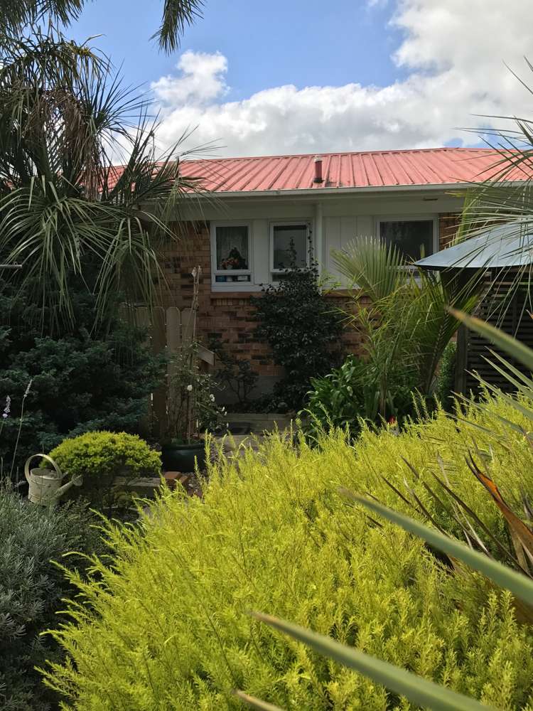 33 Edmund Hillary Avenue Papakura_7