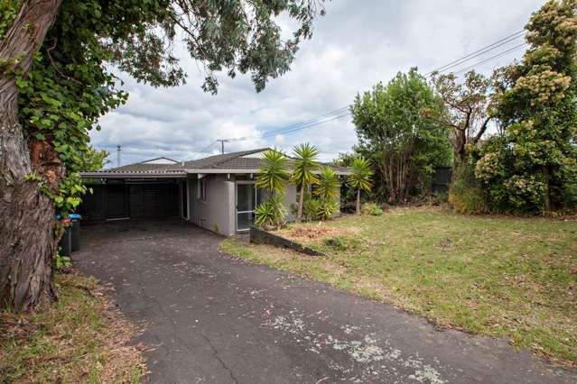 1295 Dominion Road Mount Roskill_1