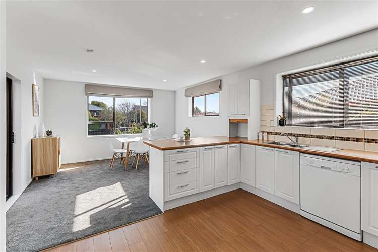 18 Lowry Avenue Redwood_5
