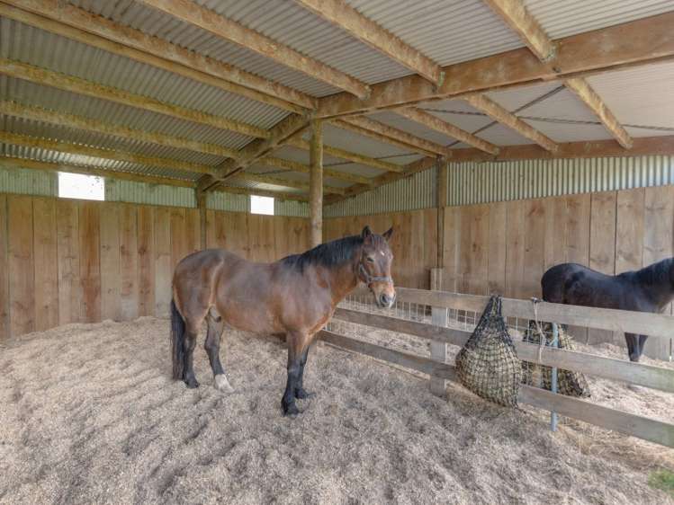 285 Kaipaki Road Ohaupo_18