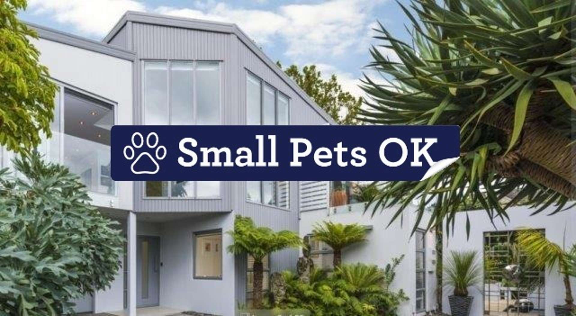 4a Westwood Terrace Saint Marys Bay_0