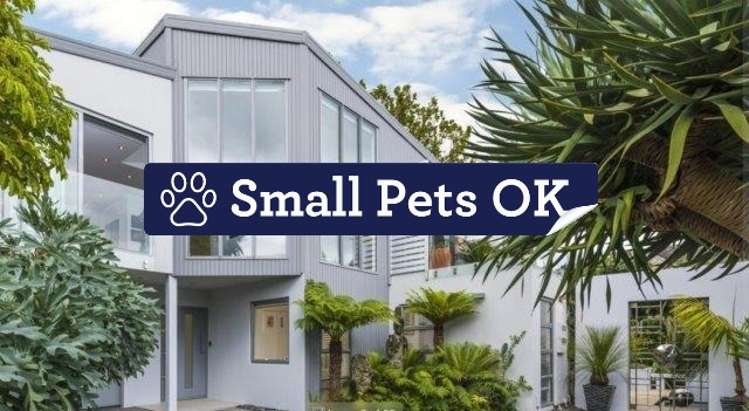 4a Westwood Terrace Saint Marys Bay_0