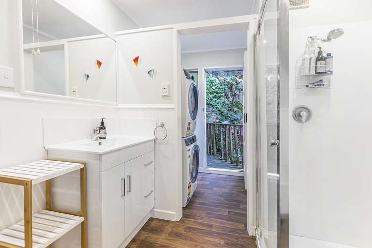 11a Totara Road Miramar_12