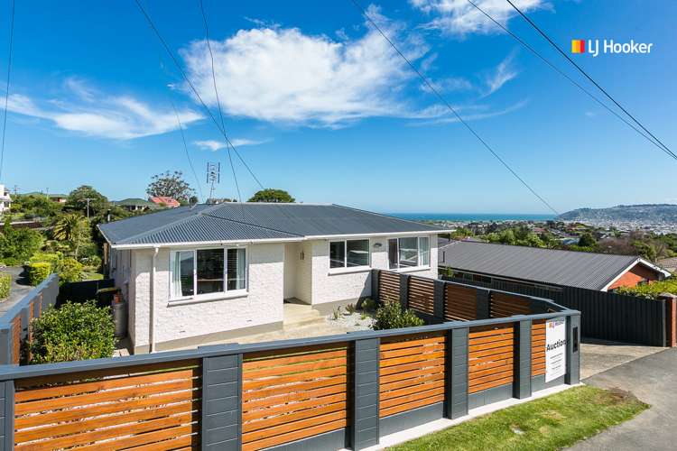 132 Larnach Road Waverley_16