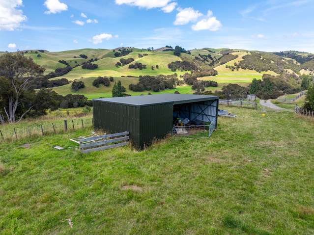 388 Ruakokoputuna Road Martinborough_4