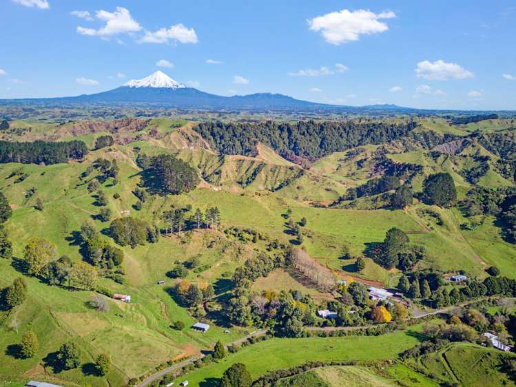 822 Motukawa Rd Inglewood_17