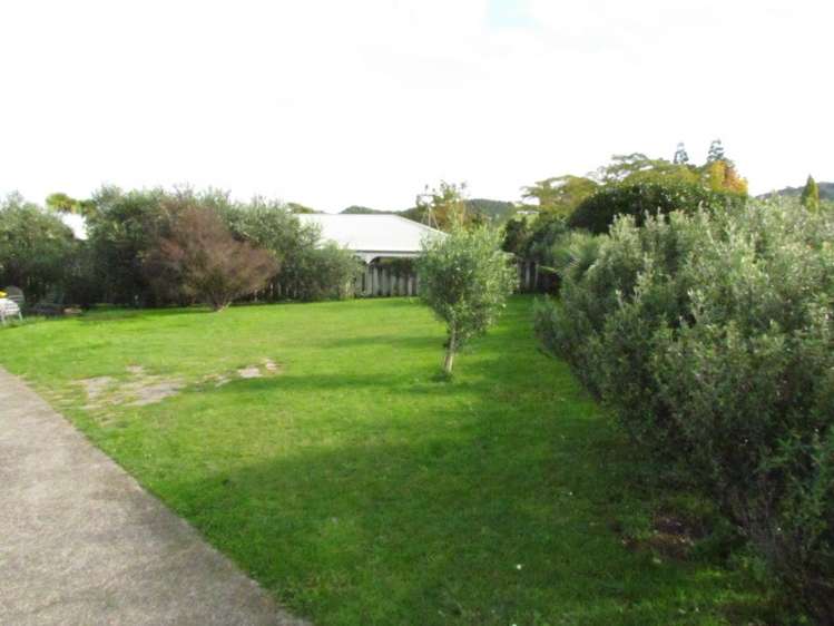 10 Walker Street Waihi_5