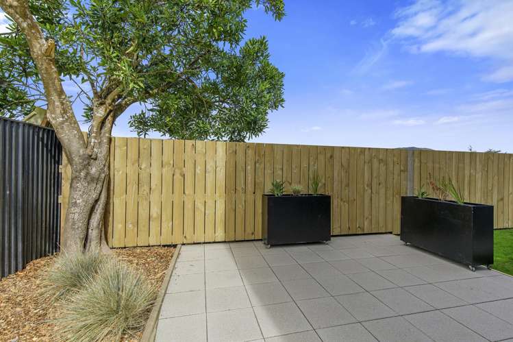 3/894 High Street Avalon_19