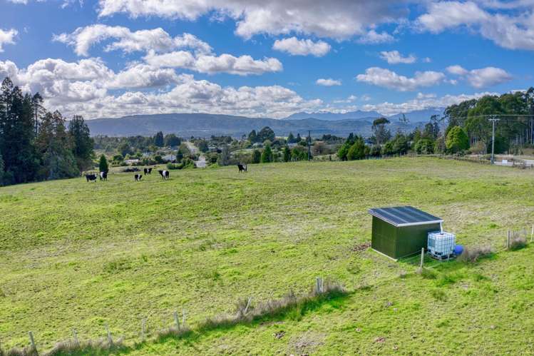 Lot 1 & 2 Woodstock-Rimu Road Hokitika NZ_4
