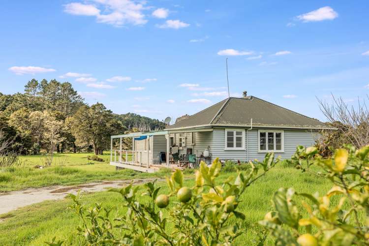 444 Brown Road Kaiwaka_7