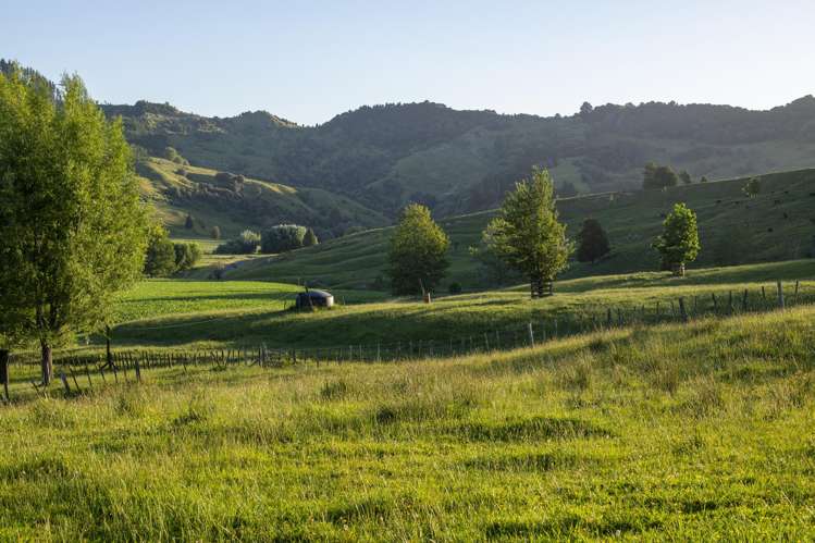 749 Kanakanaia Road Te Karaka_7