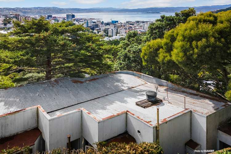 94 Mortimer Terrace Brooklyn_14