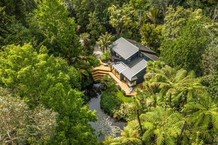 11 Kereru Place Upper Vogeltown_29