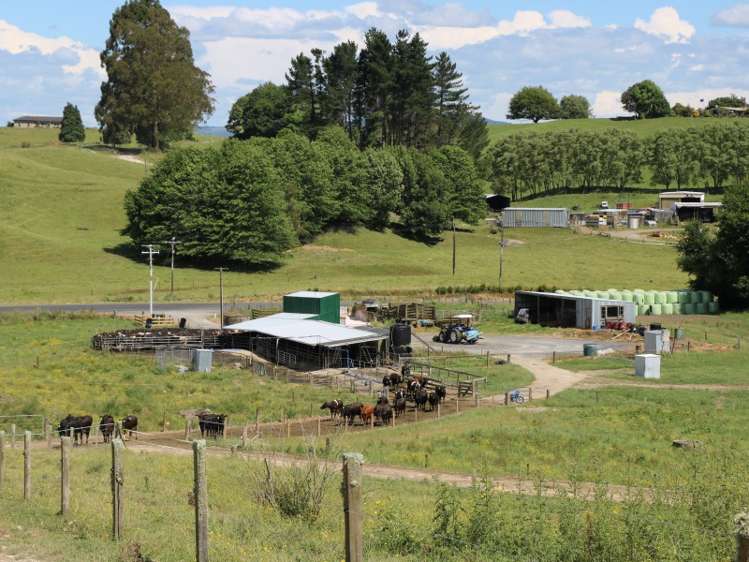 154 Matanuku Road Putaruru_13