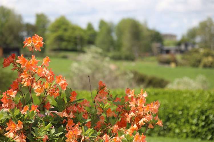 145 Hall Road Rangiriri_44