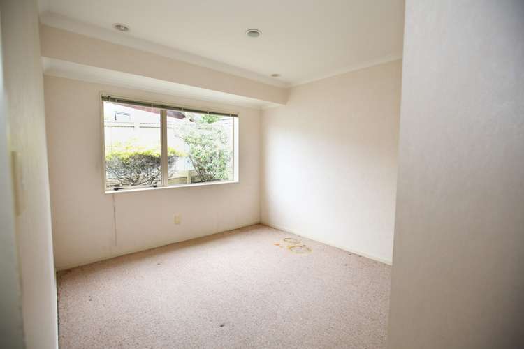 1/7 Clegg Place Warkworth_11