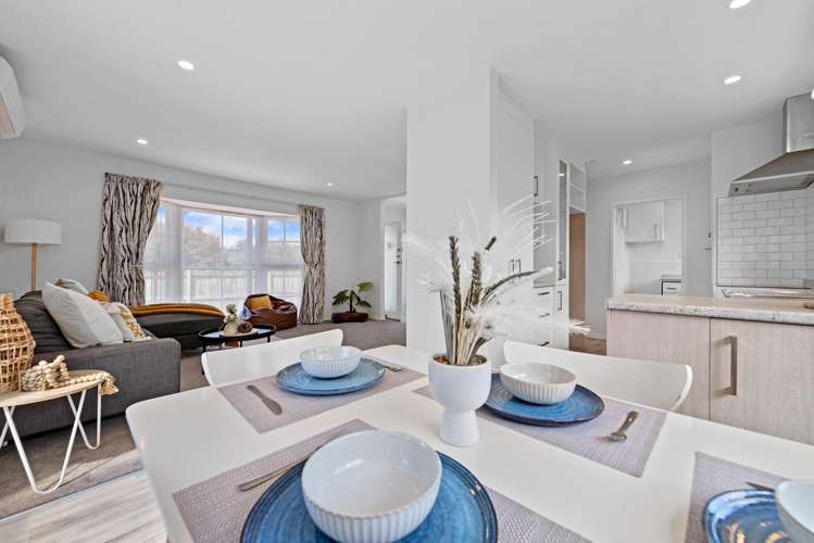 7 Kiwi Street Springfield_7