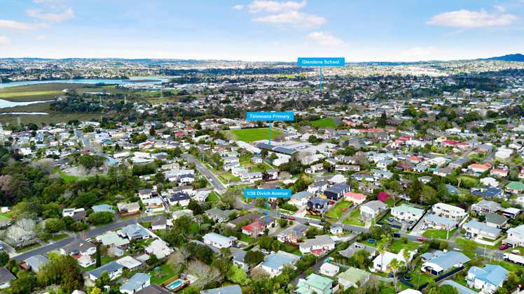 1/38 Divich Avenue Te Atatu South_11