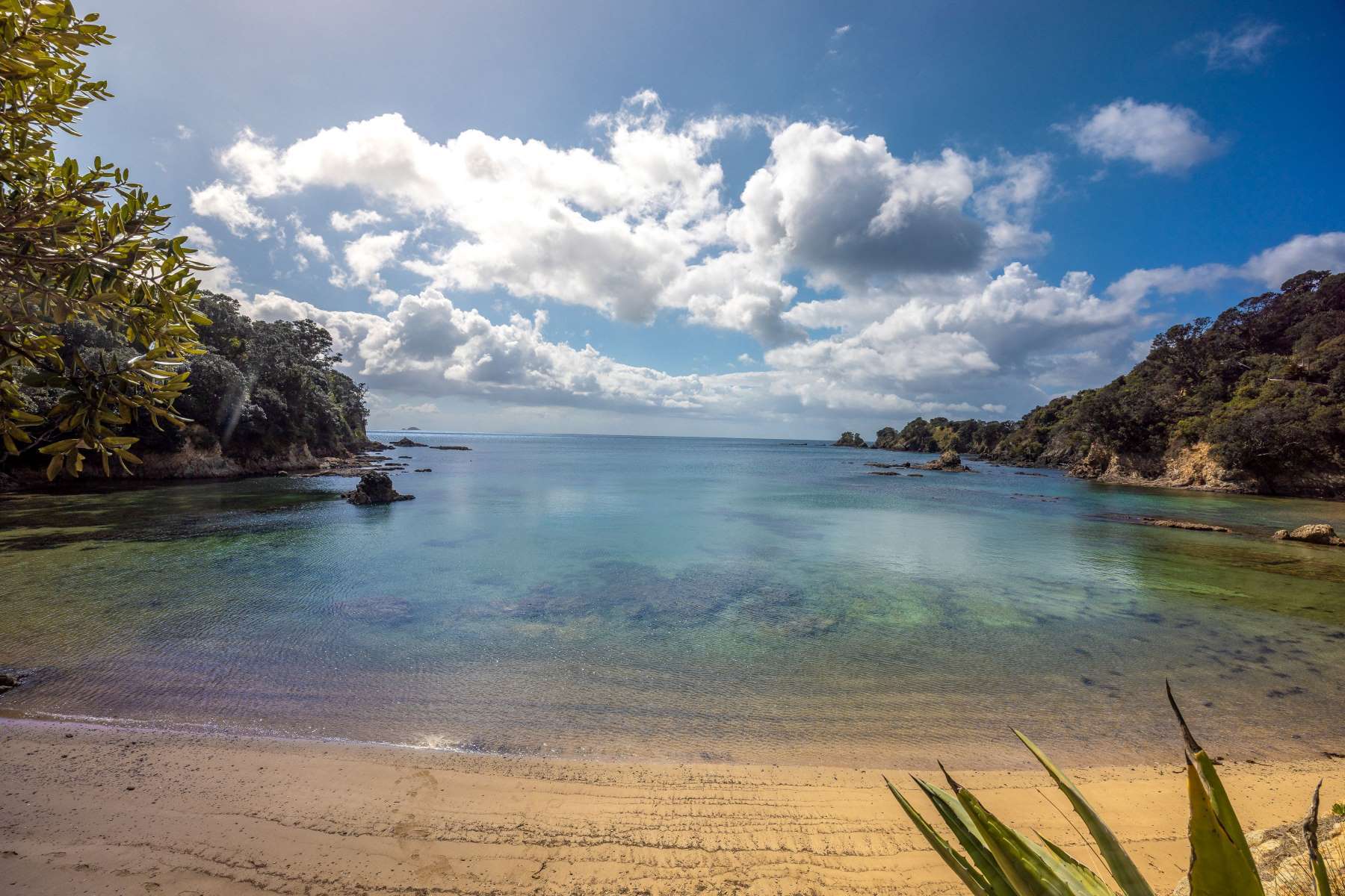 54 Korora Road in Oneroa, Waiheke Island, Auckland