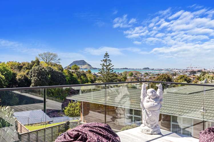 53A Milton Road Otumoetai_12