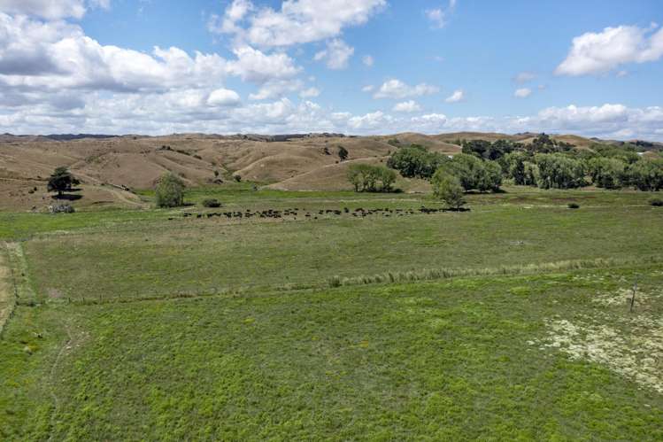 475 Te Akau South Road Te Akau_21