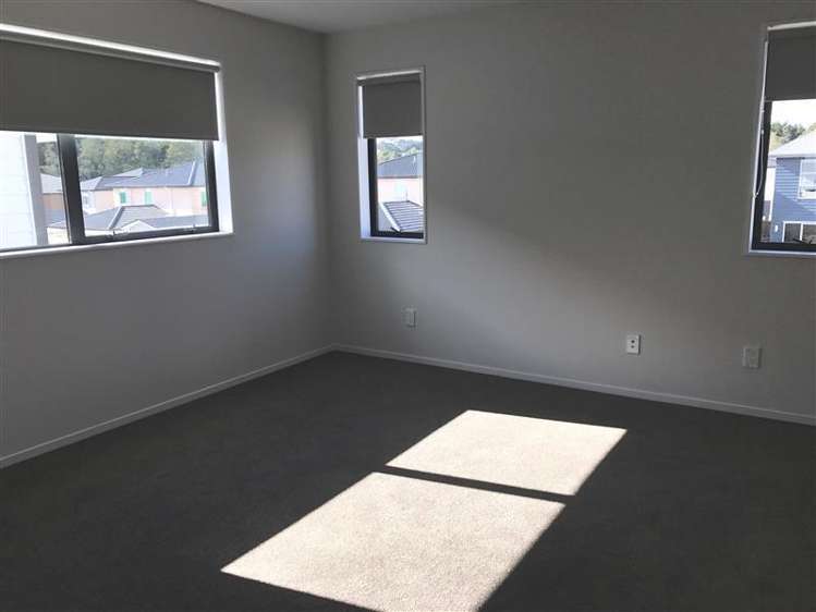 241 Murphys Road Flat Bush_5