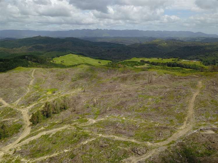 Taheke Road Horeke_7