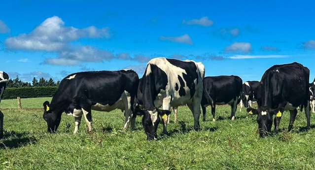 91 The Narrows Road Waipango_2