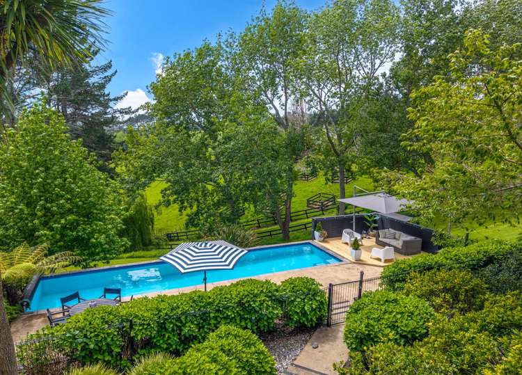 18 Ara-Kotinga Whitford_22