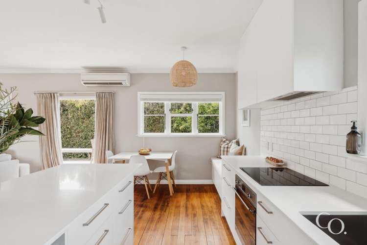 85a Seventeenth Avenue Tauranga South_5