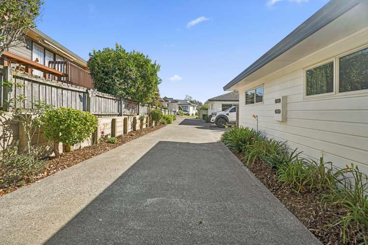 36b Charlotte Street Stanmore Bay_13